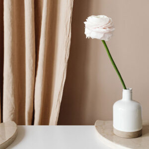 Blume beige 2