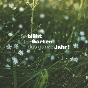 maklermind edition87 beitrag5 bild3 1